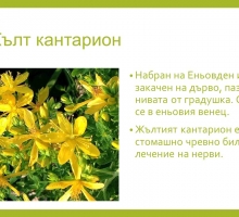 Снимка