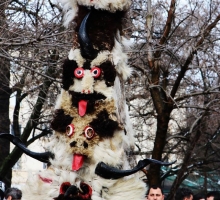 Снимка