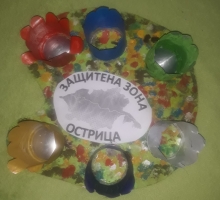 Снимка