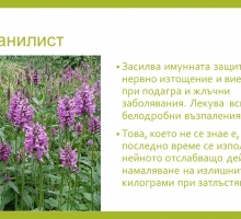 Снимка