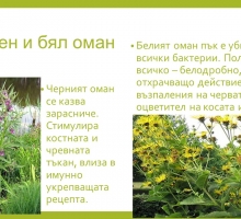 Снимка