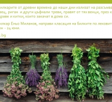 Снимка