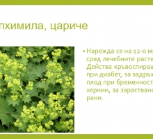 Снимка