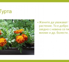 Снимка