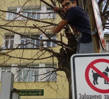 Снимка