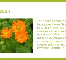 Снимка