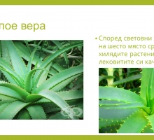 Снимка