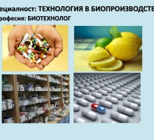 Снимка