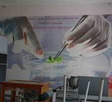 Снимка