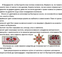 Снимка