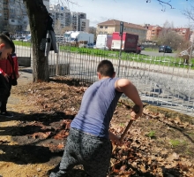 Снимка