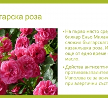 Снимка