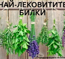 Снимка